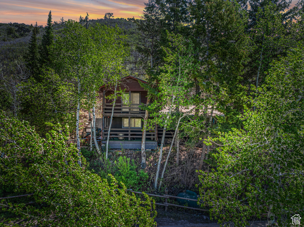 Back of house at dusk featuring a view of trees