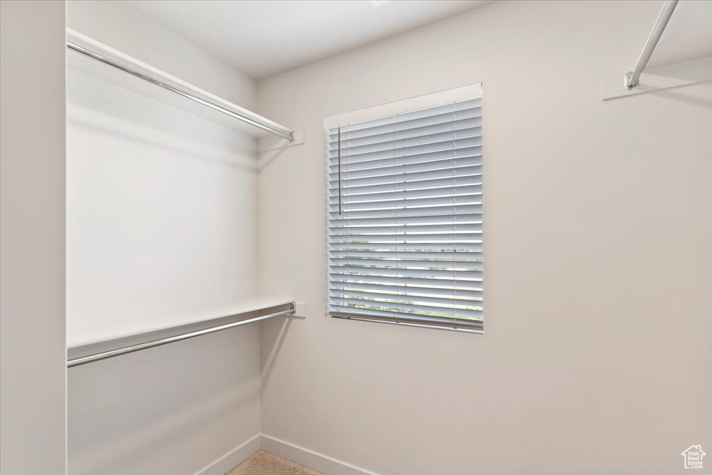View of walk in closet