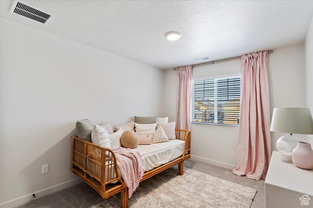 Carpeted bedroom with baseboards and a textured ceiling