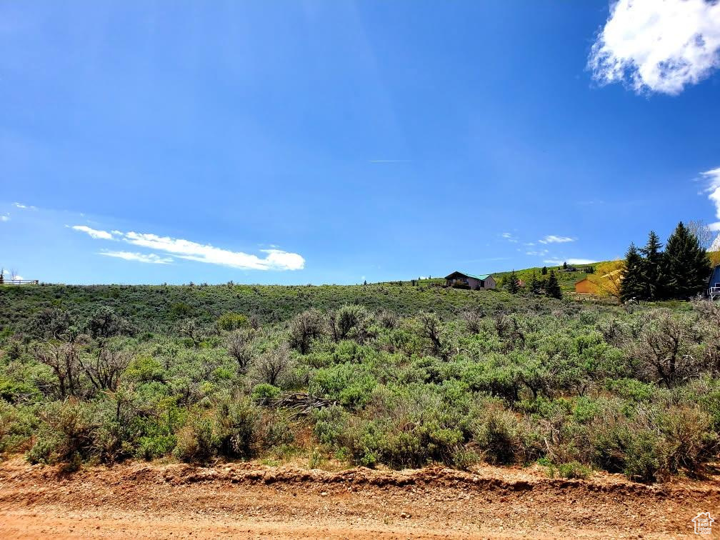 View of nature