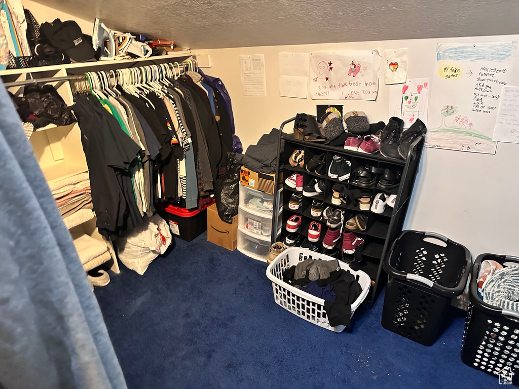 Walk in closet with carpet flooring