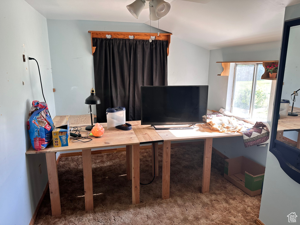 Home office with ceiling fan and carpet flooring