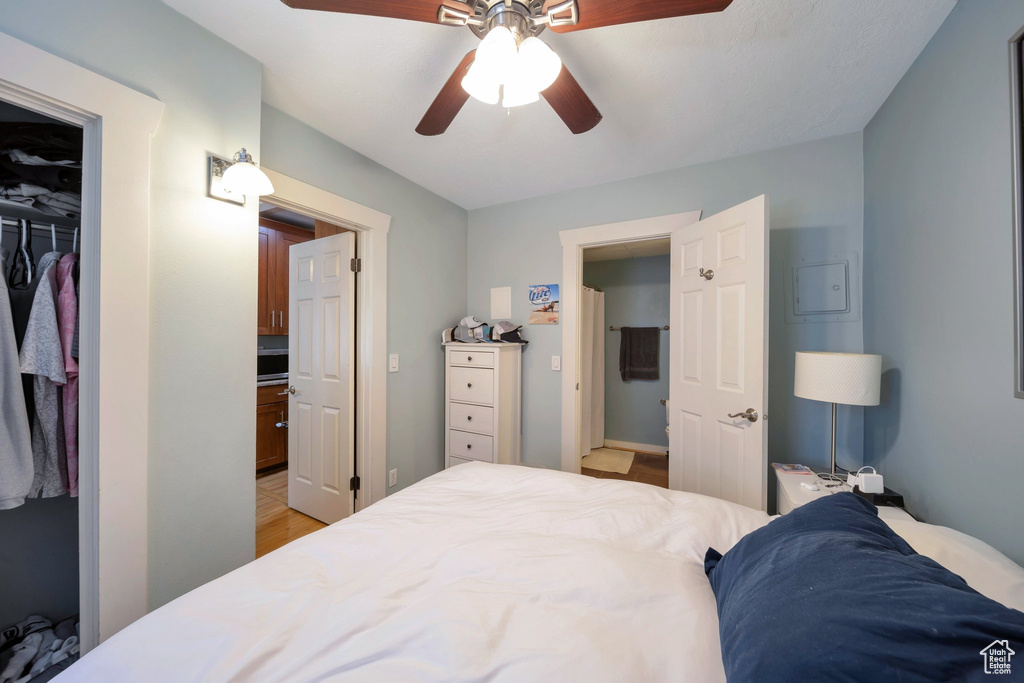 Bedroom with a closet, light wood finished floors, a spacious closet, and a ceiling fan