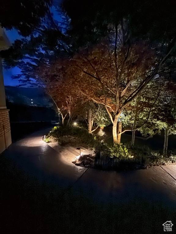 View of yard at night