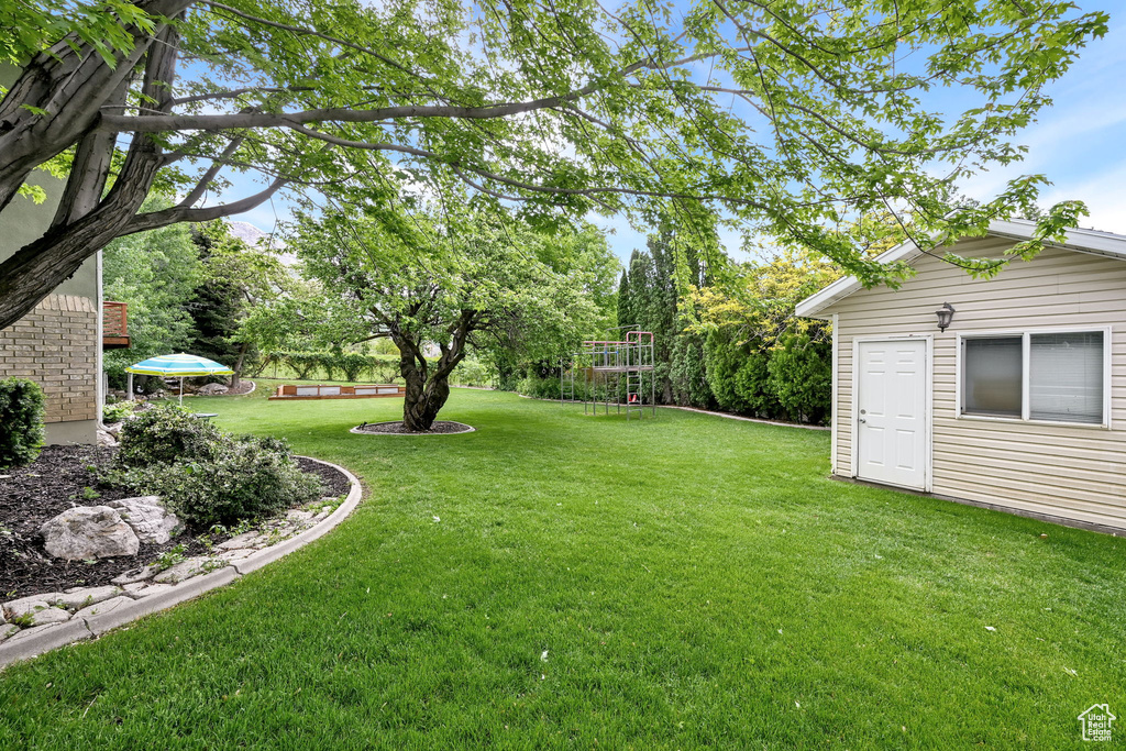 View of green lawn