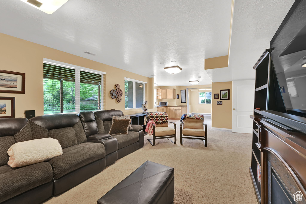 Living room with light carpet