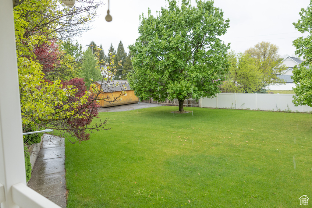 View of yard