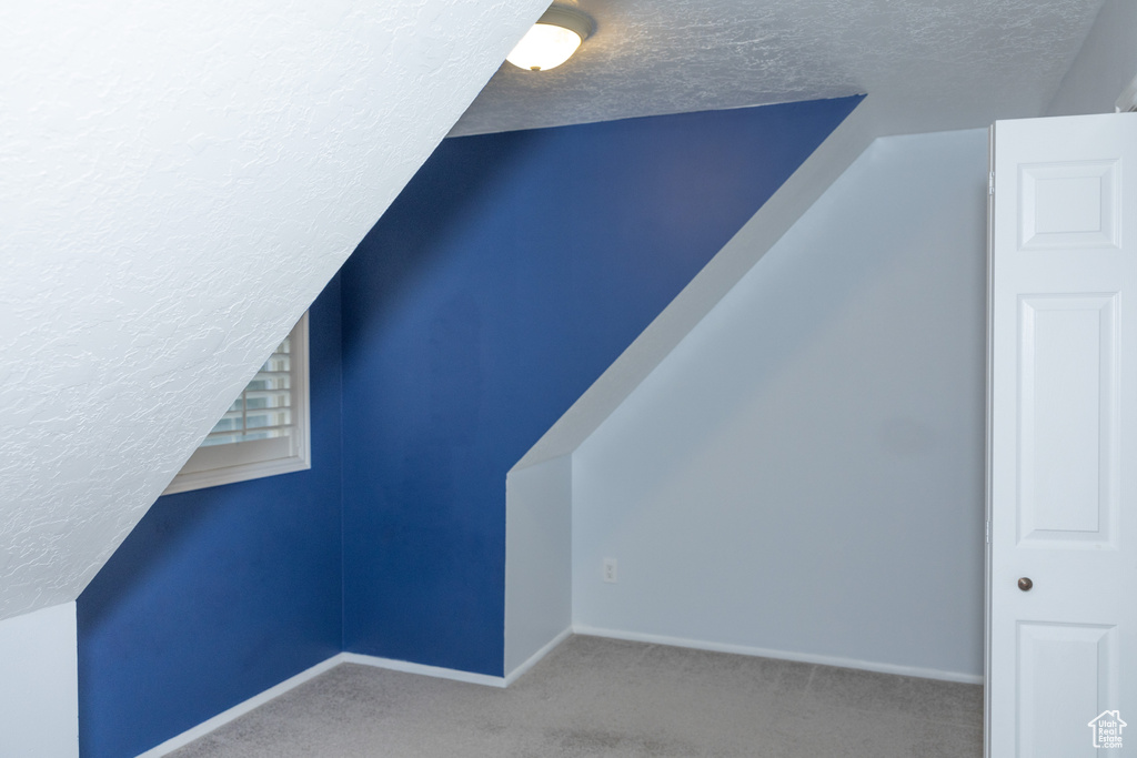 Additional living space with a textured ceiling, carpet, and baseboards