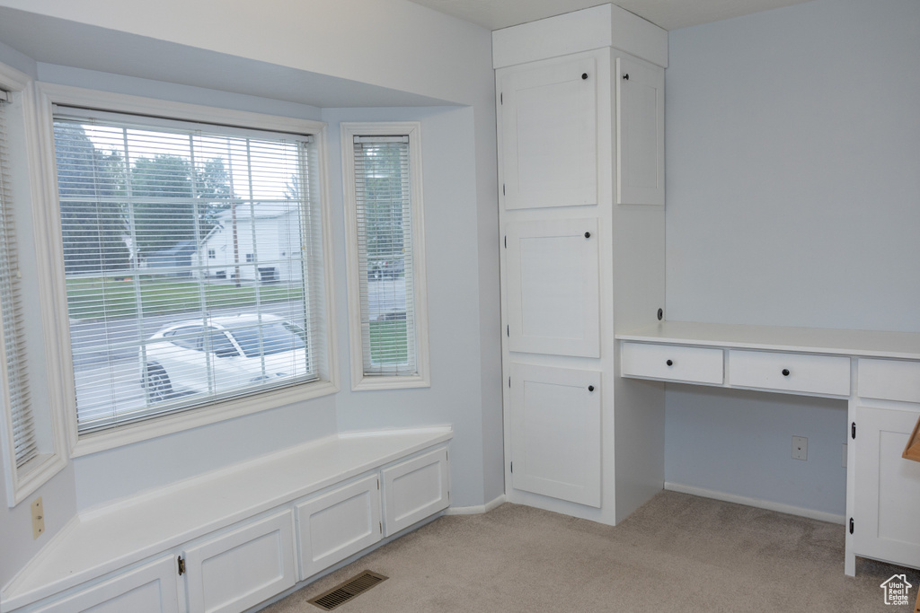 Mudroom featuring light colored carpet, plenty of natural light, and baseboards