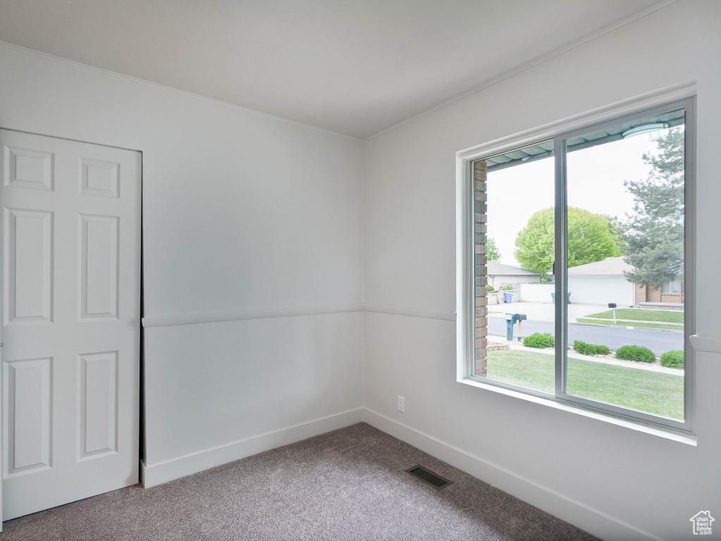 Unfurnished room with carpet, healthy amount of natural light, baseboards, and crown molding