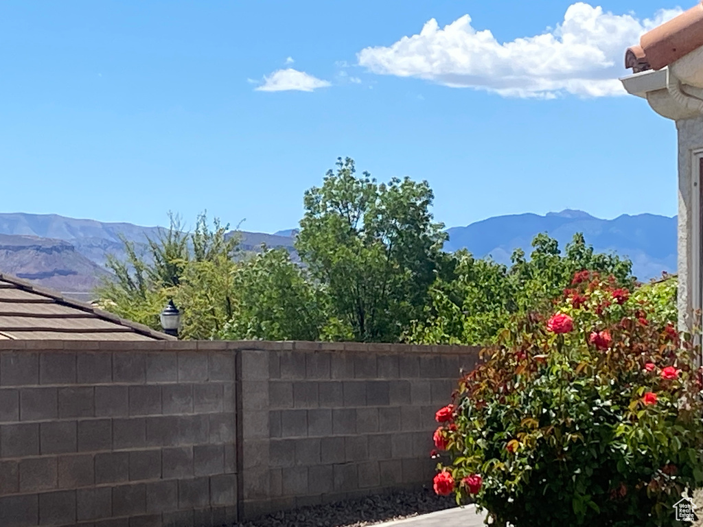 Mountain view