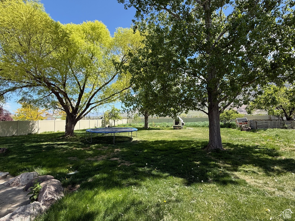 View of yard featuring a trampoline