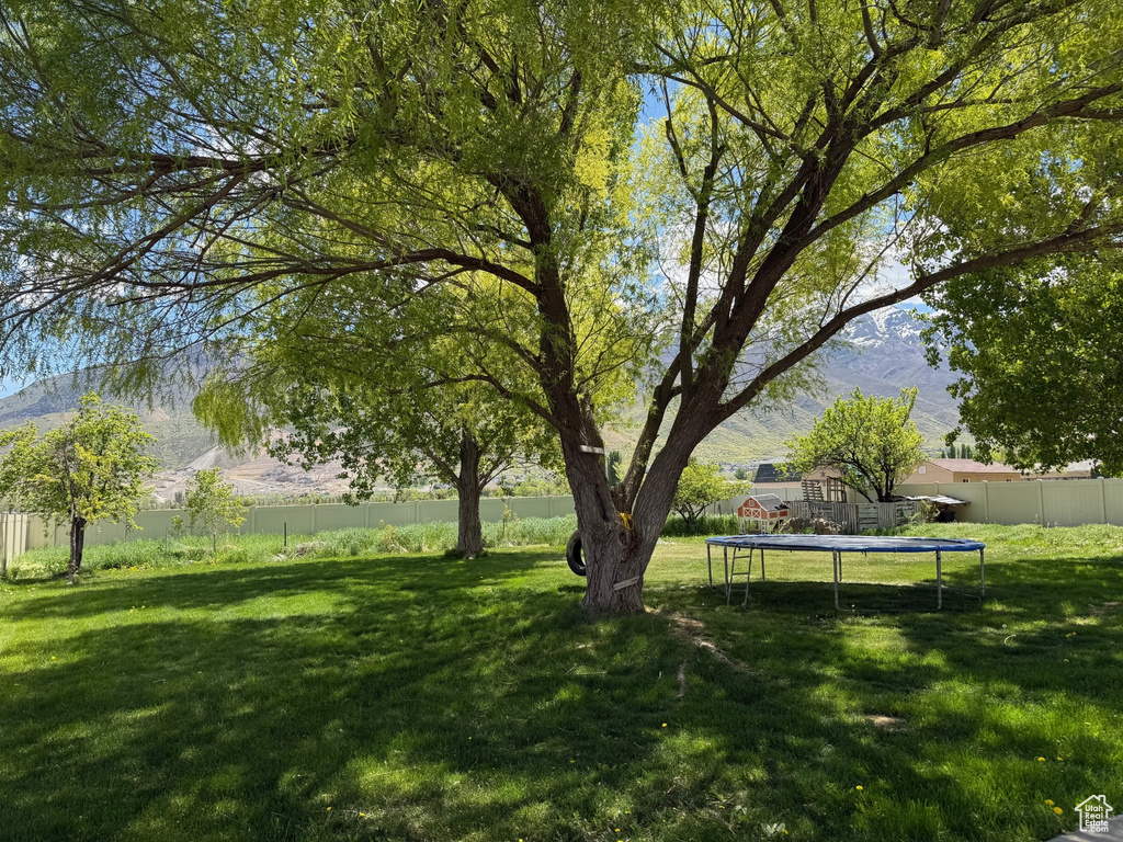 View of yard featuring a trampoline and a mountain view