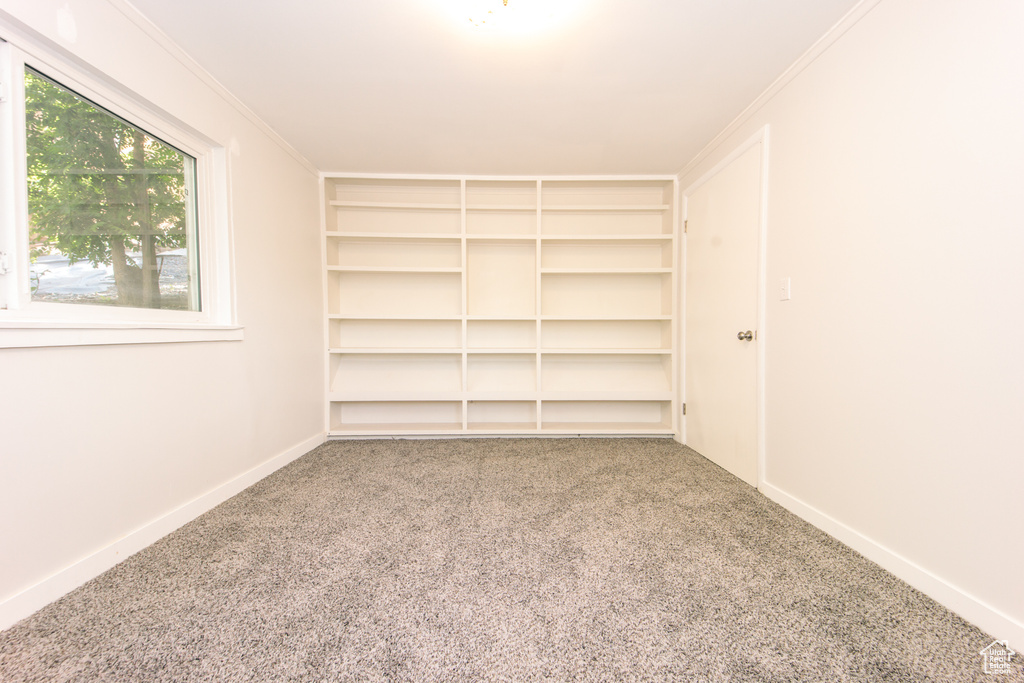 Carpeted spare room featuring crown molding and baseboards