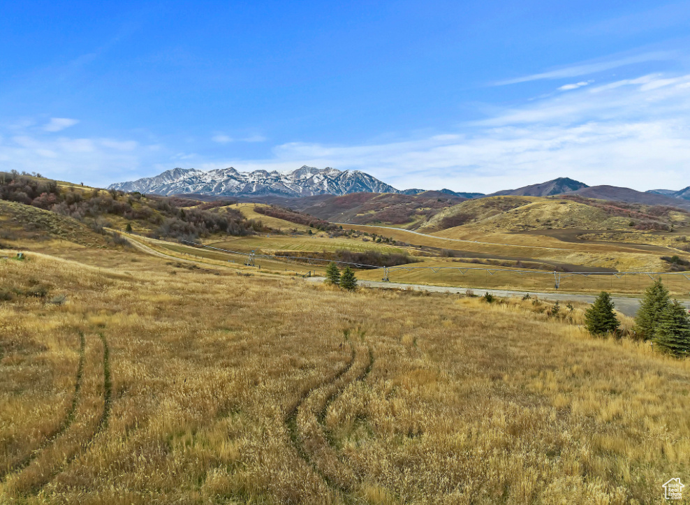 View of mountain background