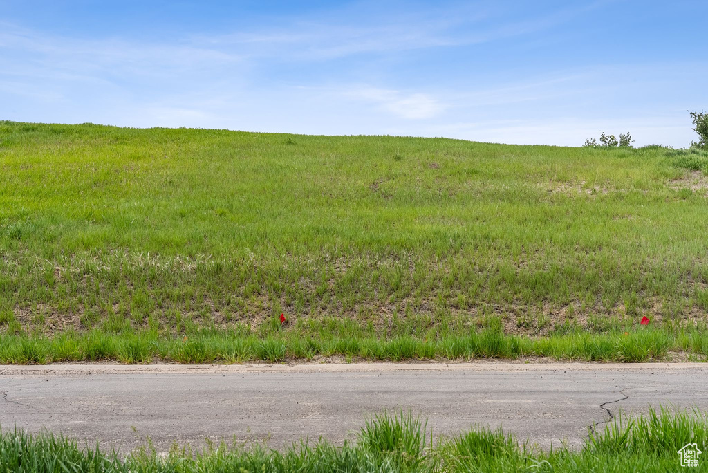 View of local wilderness with rural landscape