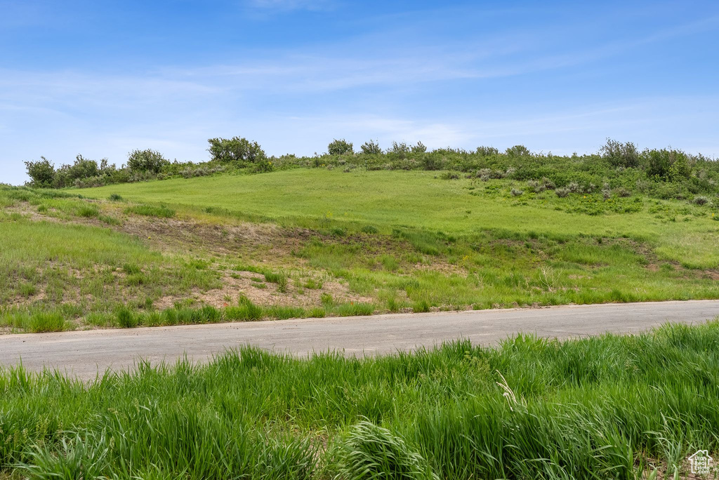 View of local wilderness with rural landscape