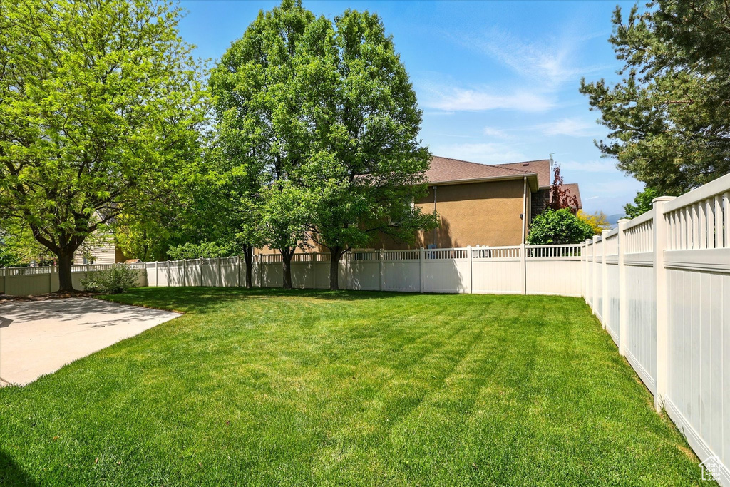 View of yard featuring a patio