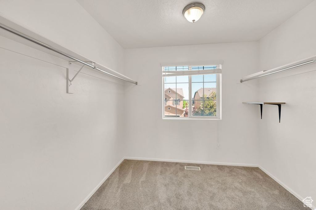 Spacious closet featuring carpet flooring