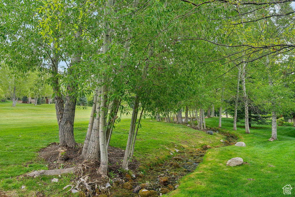 View of green lawn