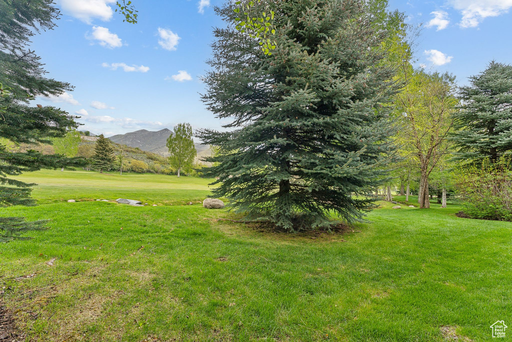 View of grassy yard featuring a mountain view