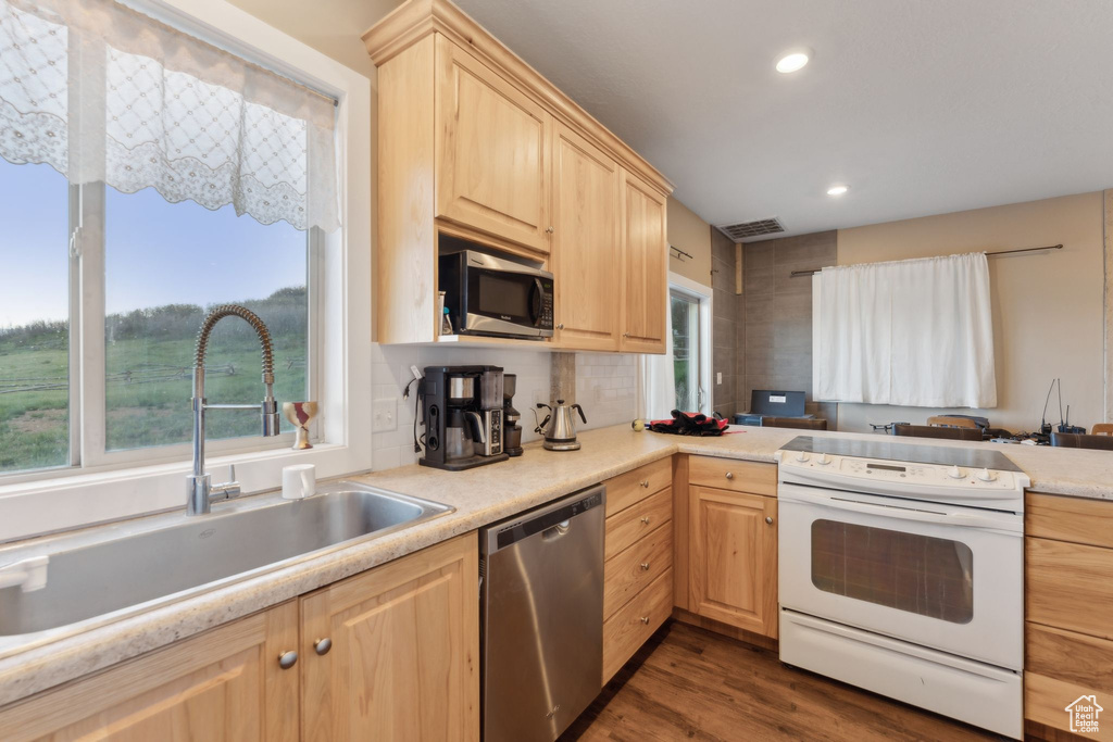 Kitchen featuring appliances with stainless steel finishes, light brown cabinets, a sink, healthy amount of natural light, and recessed lighting