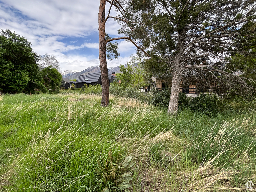 View of yard featuring a mountain view