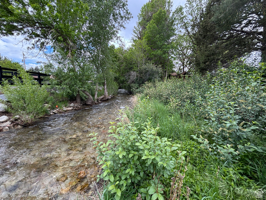 View of nature