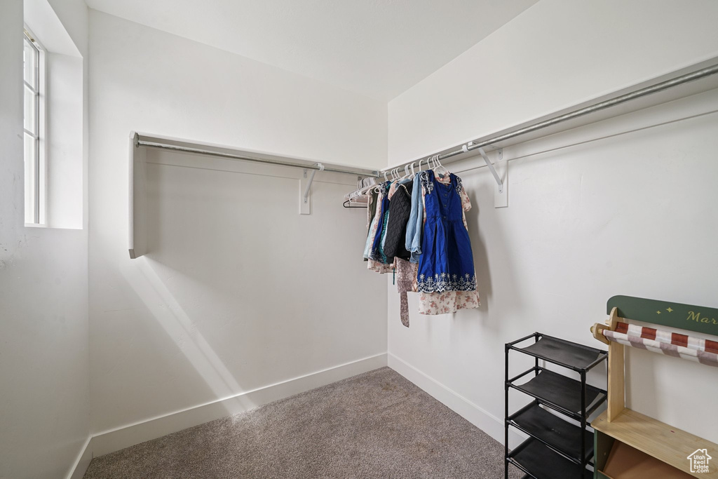 Spacious closet featuring carpet flooring