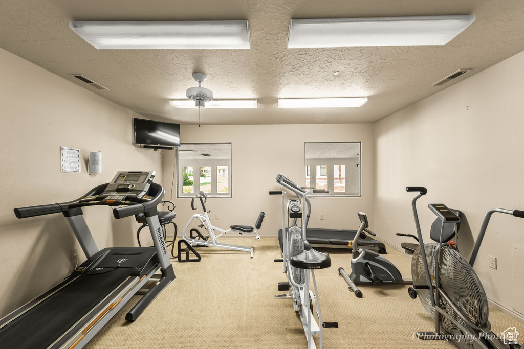 Workout room with healthy amount of natural light, carpet, a textured ceiling, and baseboards