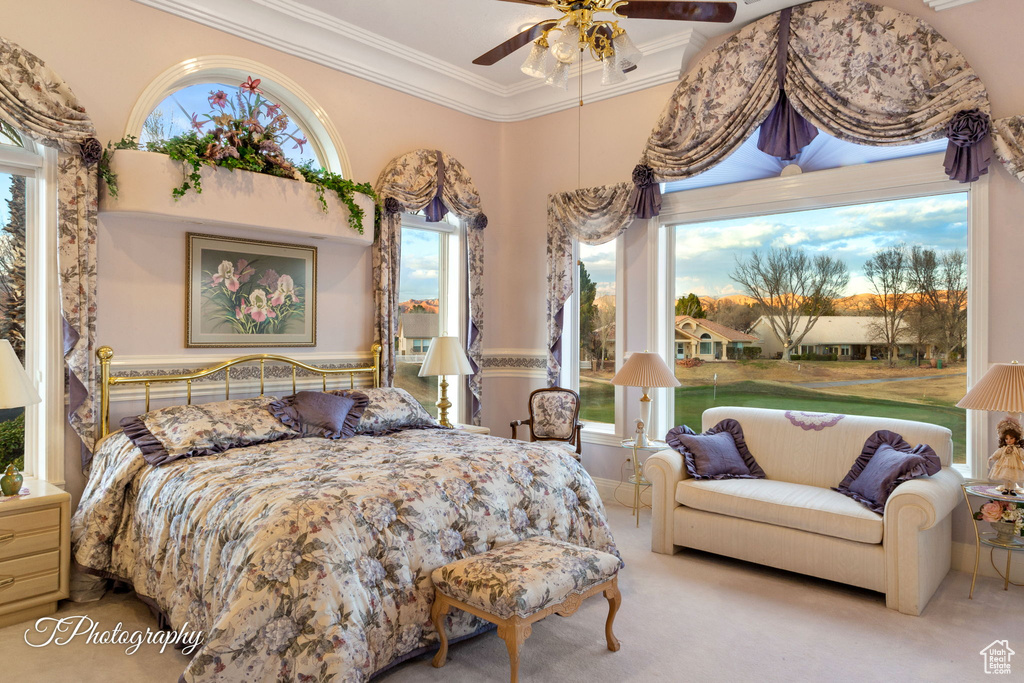 Carpeted bedroom with crown molding and ceiling fan