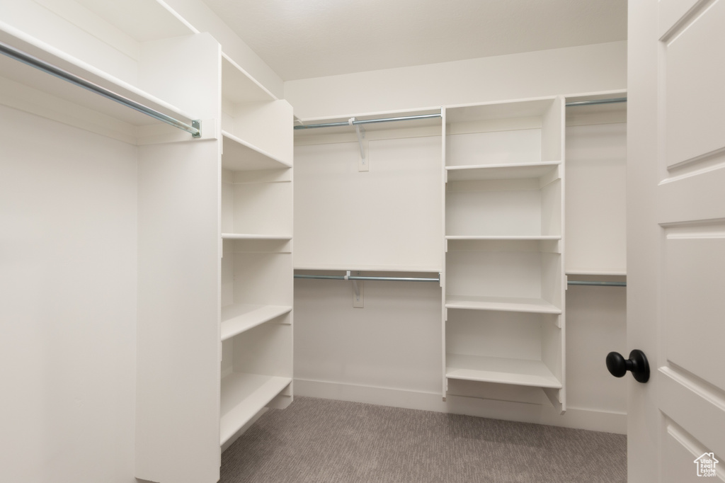 Walk in closet with carpet floors