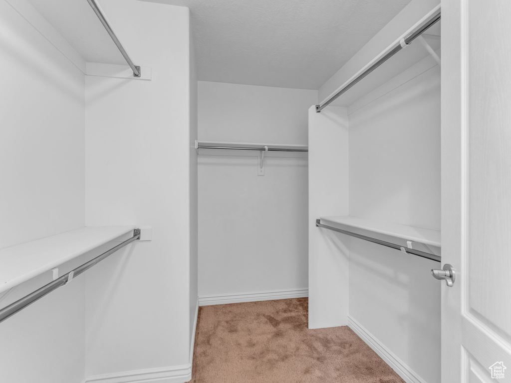 Spacious closet with carpet