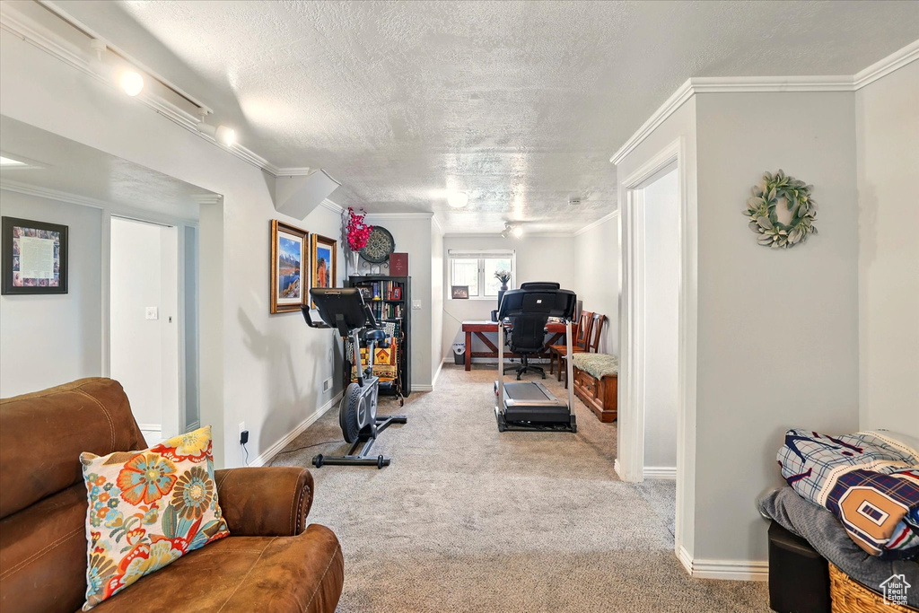 Exercise room featuring carpet flooring, a textured ceiling, crown molding, and baseboards