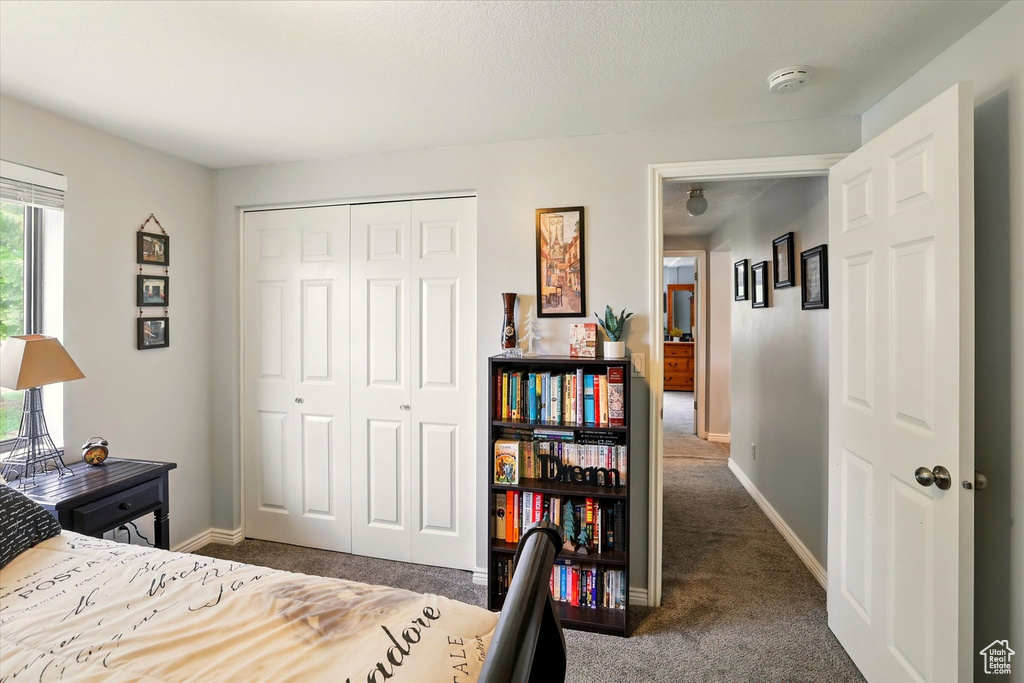 Carpeted bedroom with a closet and baseboards