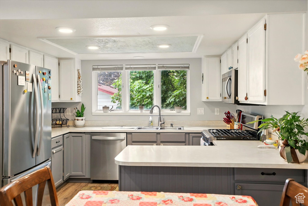 Kitchen with stainless steel appliances, a sink, gray cabinets, light wood-style floors, and light countertops