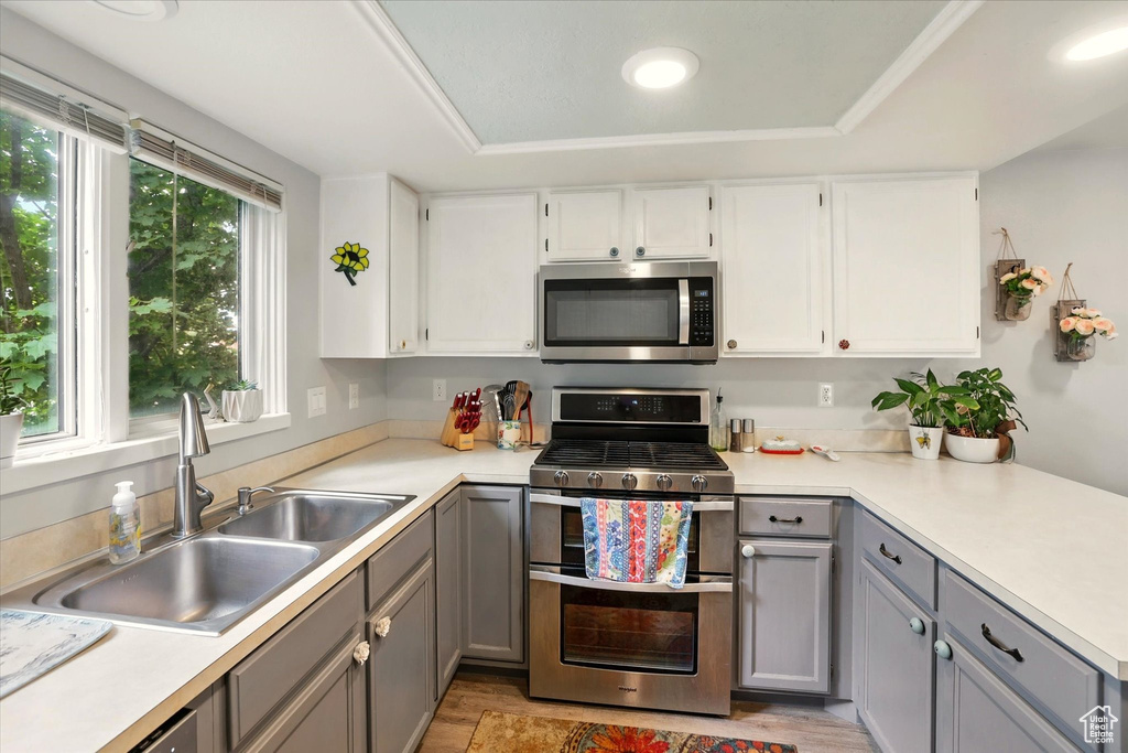 Kitchen with stainless steel appliances, a sink, gray cabinets, light countertops, and a raised ceiling