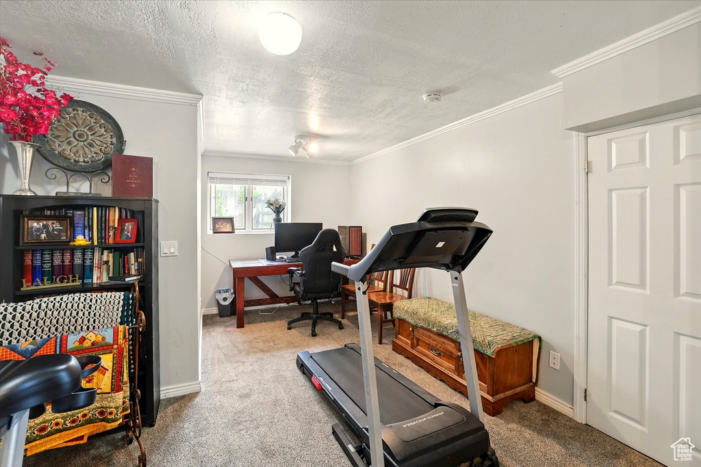 Exercise room with carpet, crown molding, a textured ceiling, and baseboards