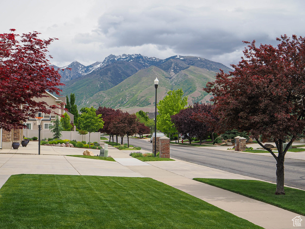 Mountain view