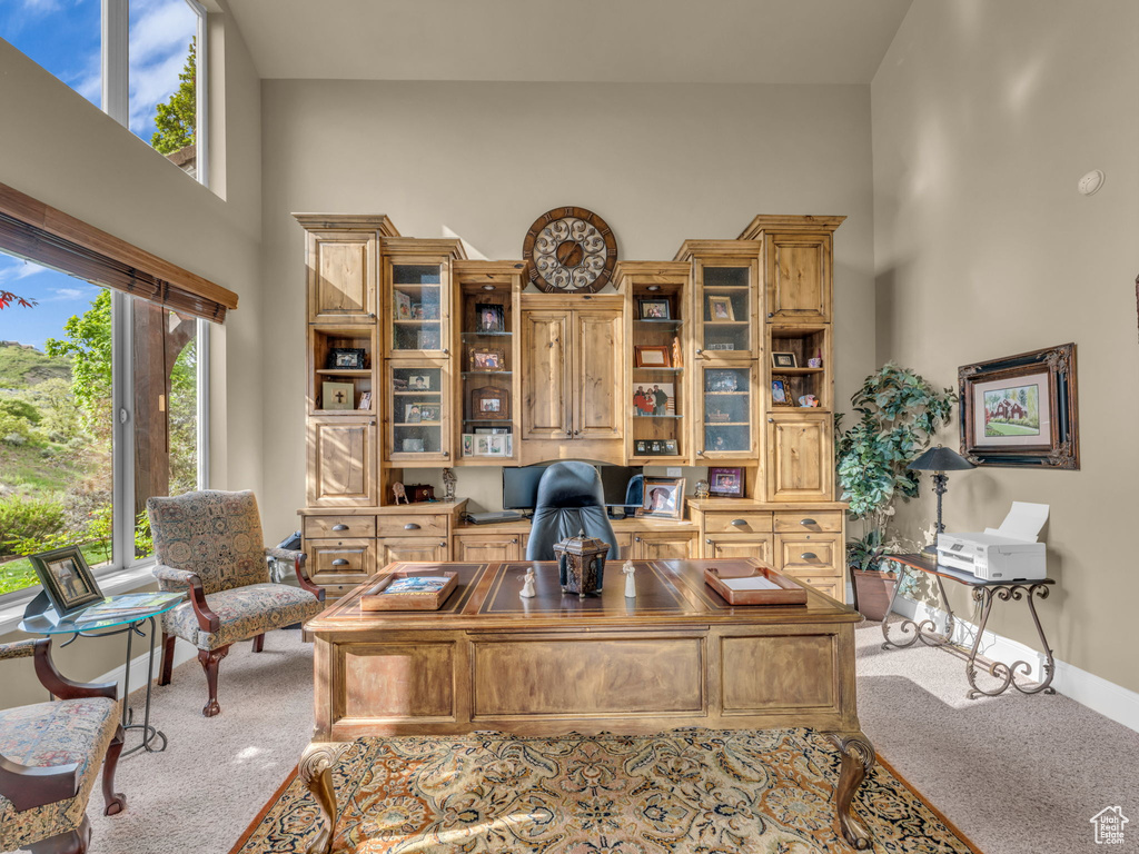 Office featuring carpet, a high ceiling, and baseboards