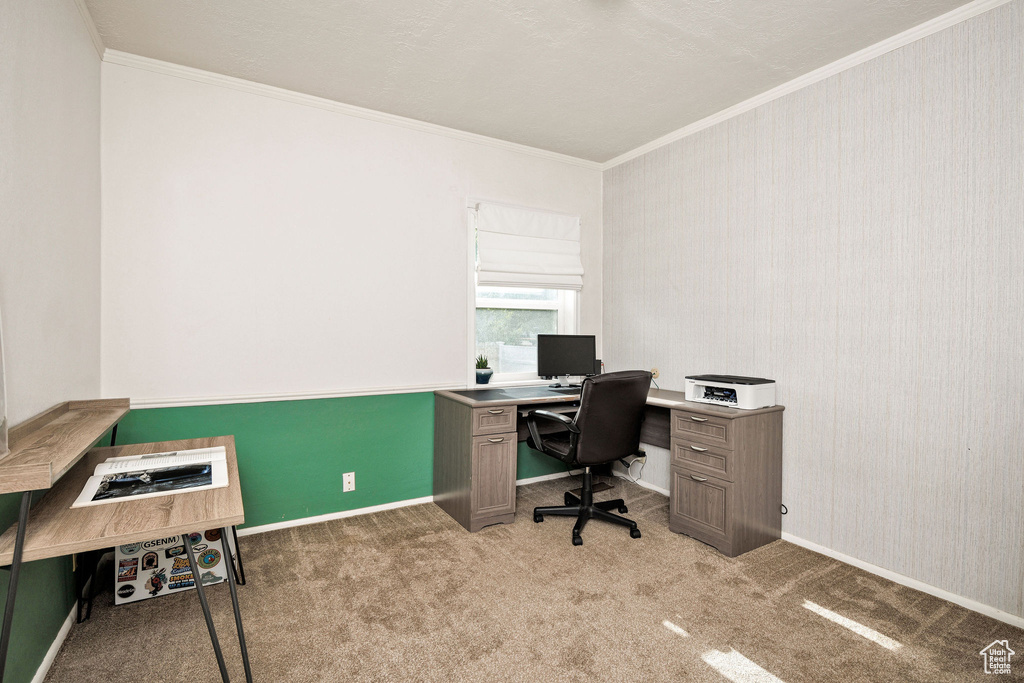 Office space with crown molding, light carpet, and baseboards