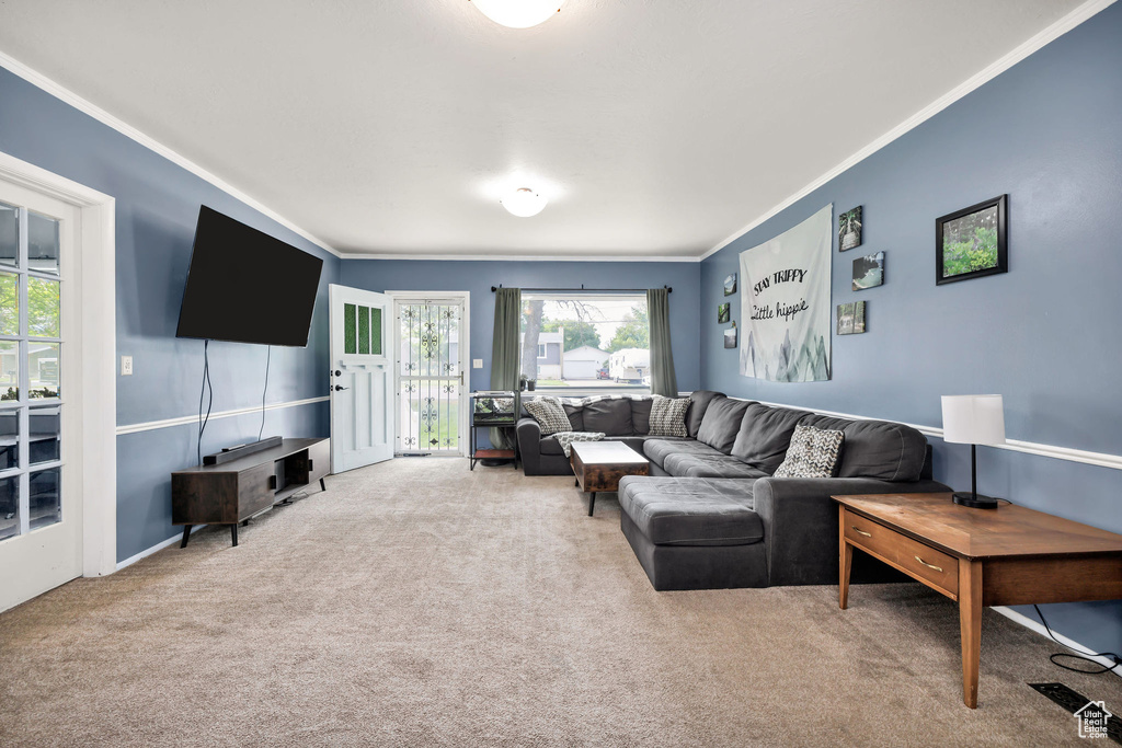 Carpeted living room with crown molding