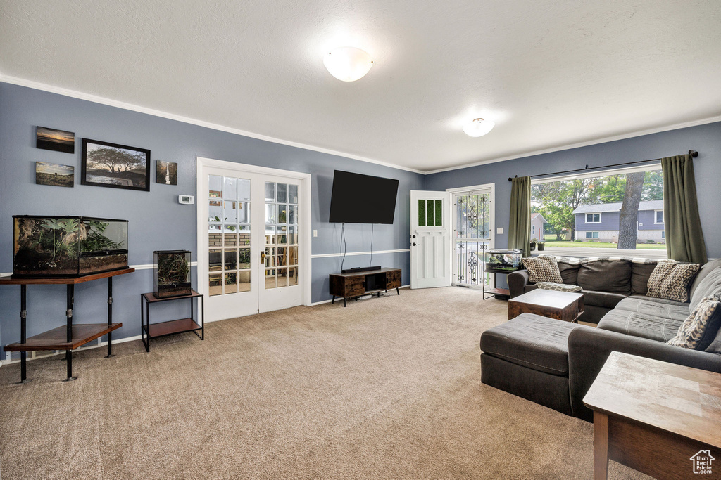 Carpeted living area featuring french doors and ornamental molding