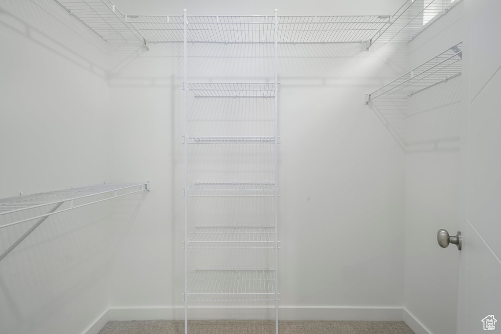 Spacious closet featuring carpet floors