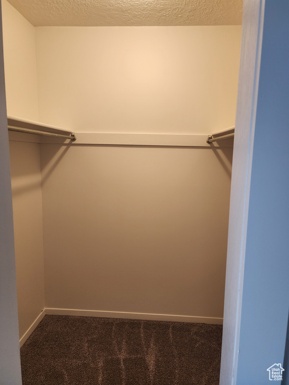 Walk in closet with carpet