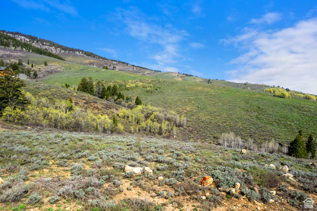 Mountain view
