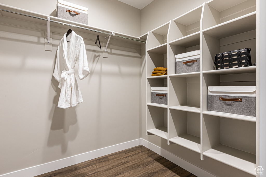Spacious closet featuring dark wood-style floors