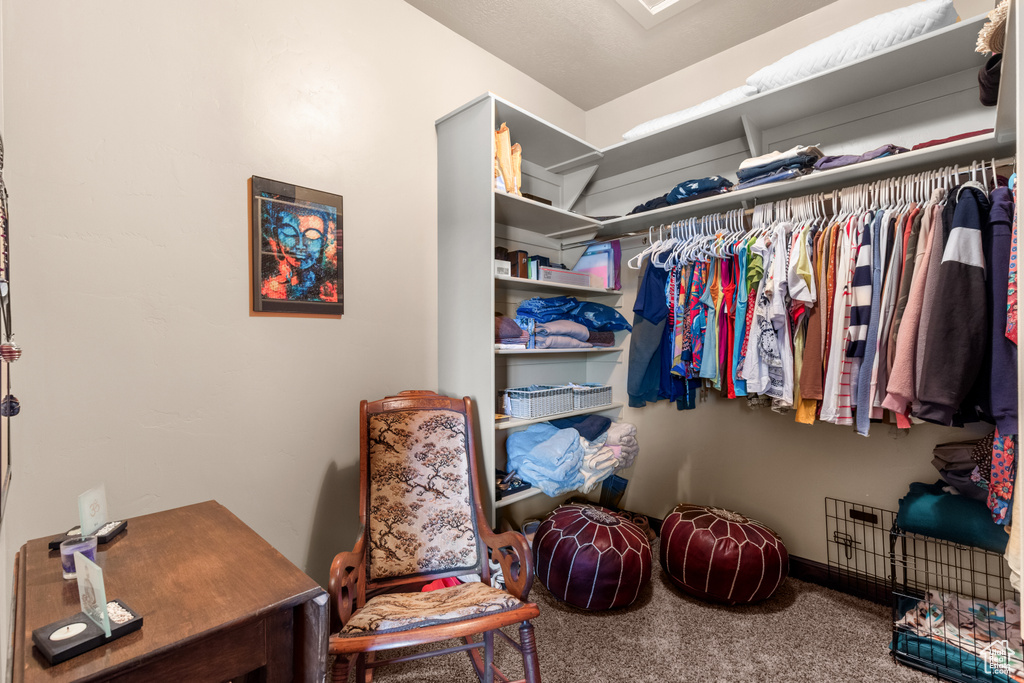 Walk in closet with carpet