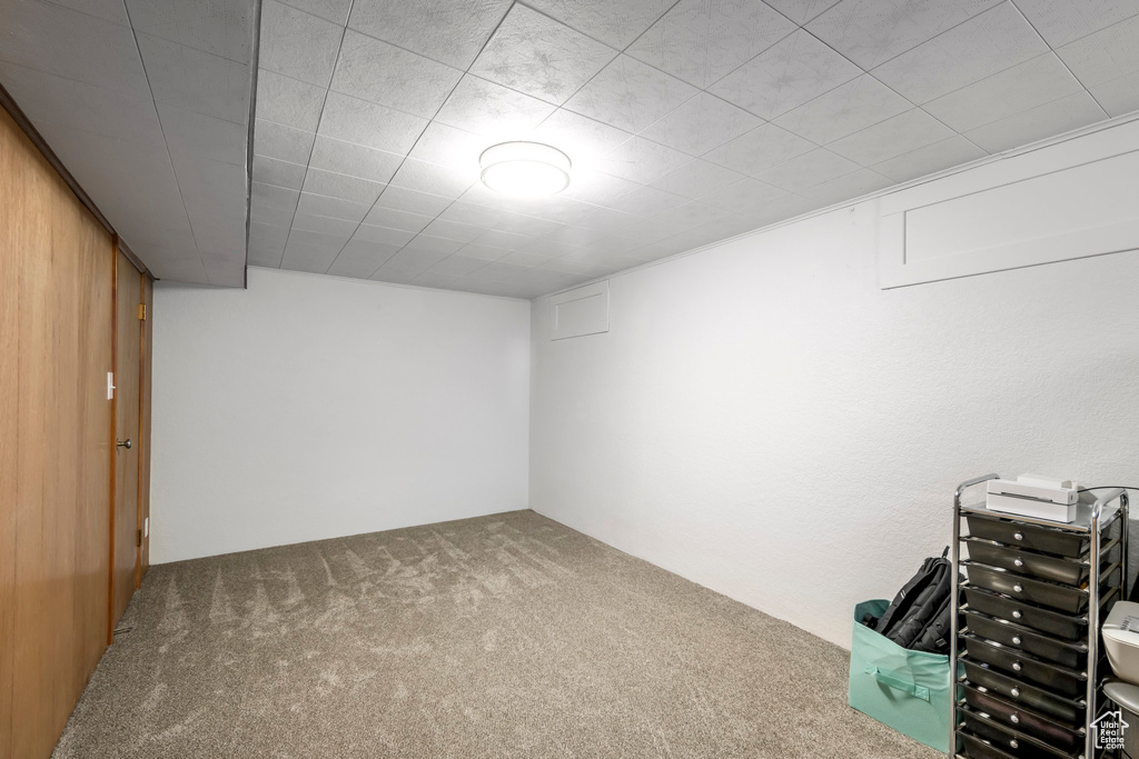 Finished below grade area with carpet flooring