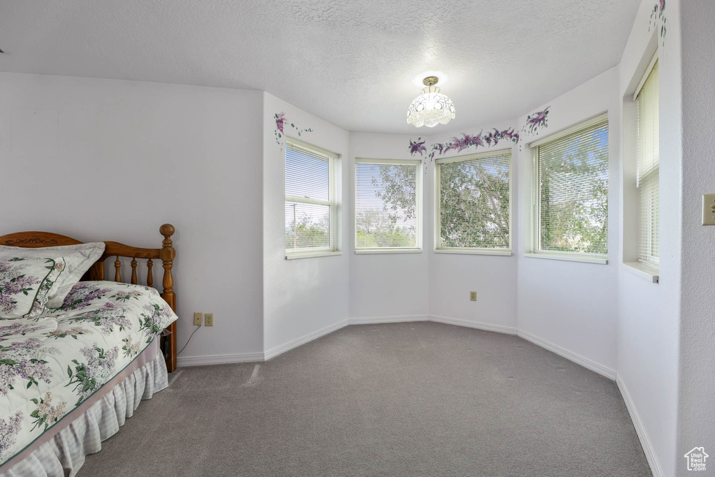 Bedroom featuring multiple windows, carpet flooring, baseboards, and a textured ceiling